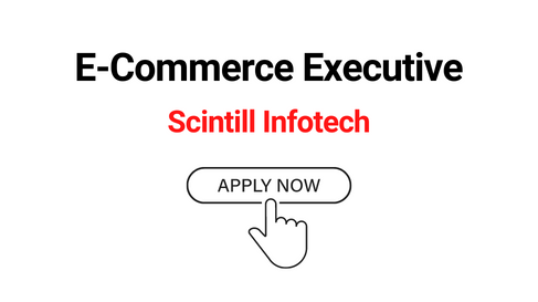 E-Commerce Executive Jobs